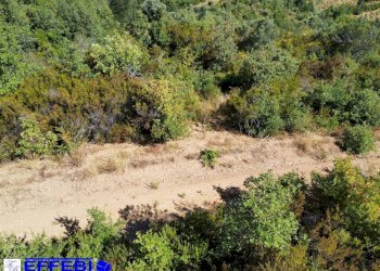 Foto 2 - Agriturismo CONTRADA PANTANELLA, Luzzi - foto 2