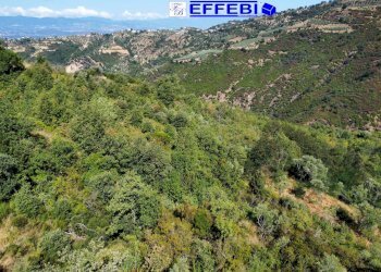 Foto 3 - Agriturismo CONTRADA PANTANELLA, Luzzi - foto 3