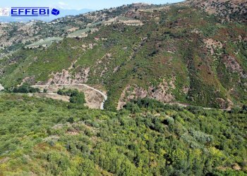 Foto 4 - Agriturismo CONTRADA PANTANELLA, Luzzi - foto 4