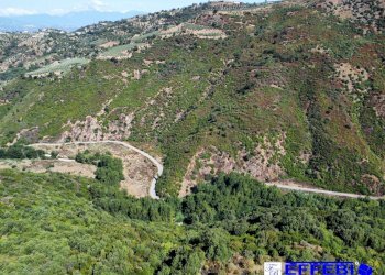 Foto 5 - Agriturismo CONTRADA PANTANELLA, Luzzi - foto 5