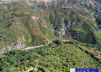 Foto 6 - Agriturismo CONTRADA PANTANELLA, Luzzi - foto 6