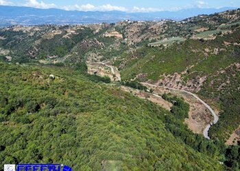 Foto 7 - Agriturismo CONTRADA PANTANELLA, Luzzi - foto 7