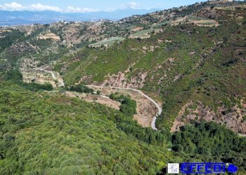 Foto 8 - Agriturismo CONTRADA PANTANELLA, Luzzi - foto 8