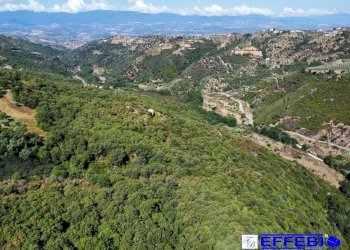 Foto 9 - Agriturismo CONTRADA PANTANELLA, Luzzi - foto 9