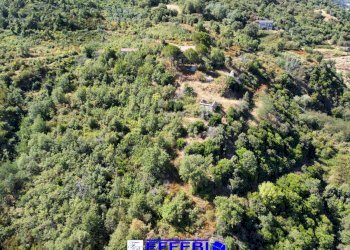 Foto 10 - Agriturismo CONTRADA PANTANELLA, Luzzi - foto 10