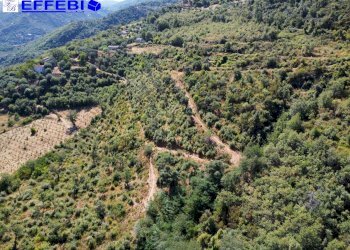 Foto 11 - Agriturismo CONTRADA PANTANELLA, Luzzi - foto 11