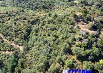 Foto 12 - Agriturismo CONTRADA PANTANELLA, Luzzi - foto 12