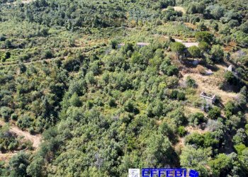 Foto 13 - Agriturismo CONTRADA PANTANELLA, Luzzi - foto 13