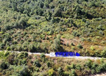 Foto 14 - Agriturismo CONTRADA PANTANELLA, Luzzi - foto 14