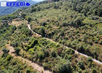 Foto 15 - Agriturismo CONTRADA PANTANELLA, Luzzi - foto 15