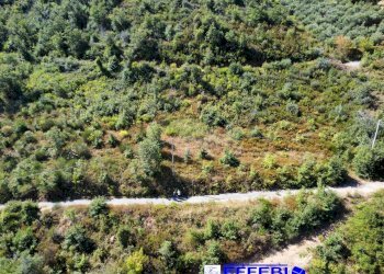 Foto 16 - Agriturismo CONTRADA PANTANELLA, Luzzi - foto 16