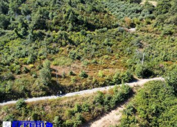 Foto 17 - Agriturismo CONTRADA PANTANELLA, Luzzi - foto 17