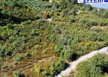 Foto 18 - Agriturismo CONTRADA PANTANELLA, Luzzi - foto 18