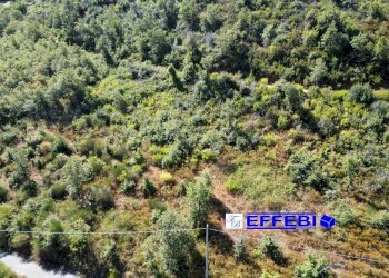 Foto 19 - Agriturismo CONTRADA PANTANELLA, Luzzi - foto 19