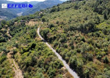 Foto 20 - Agriturismo CONTRADA PANTANELLA, Luzzi - foto 20