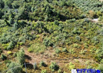 Foto 21 - Agriturismo CONTRADA PANTANELLA, Luzzi - foto 21