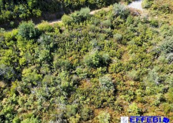 Foto 22 - Agriturismo CONTRADA PANTANELLA, Luzzi - foto 22