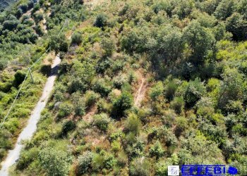 Foto 24 - Agriturismo CONTRADA PANTANELLA, Luzzi - foto 24