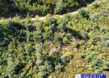 Foto 26 - Agriturismo CONTRADA PANTANELLA, Luzzi - foto 26