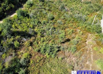 Foto 27 - Agriturismo CONTRADA PANTANELLA, Luzzi - foto 27