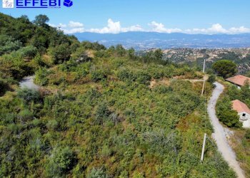 Foto 28 - Agriturismo CONTRADA PANTANELLA, Luzzi - foto 28