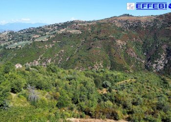 Foto 30 - Agriturismo CONTRADA PANTANELLA, Luzzi - foto 30