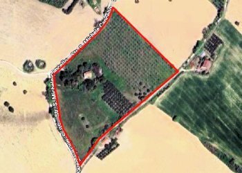 Foto 1 - Rustico Contrada Cancello
 
snc, Monterubbiano - foto 1