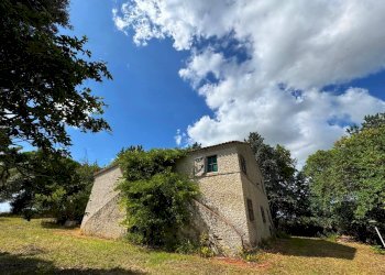 Foto 6 - Rustico Contrada Cancello
 
snc, Monterubbiano - foto 6