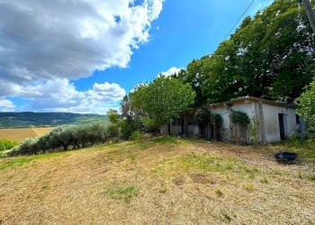 Foto 8 - Rustico Contrada Cancello
 
snc, Monterubbiano - foto 8