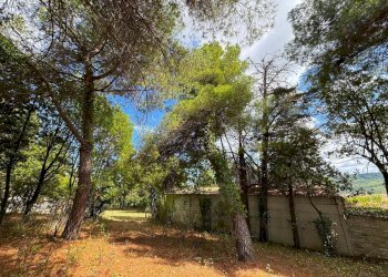 Foto 9 - Rustico Contrada Cancello
 
snc, Monterubbiano - foto 9