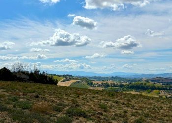 Foto 10 - Rustico Contrada Cancello
 
snc, Monterubbiano - foto 10
