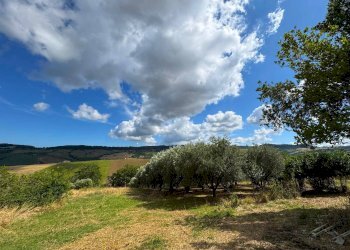 Foto 12 - Rustico Contrada Cancello
 
snc, Monterubbiano - foto 12