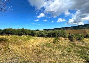 Foto 14 - Rustico Contrada Cancello
 
snc, Monterubbiano - foto 14