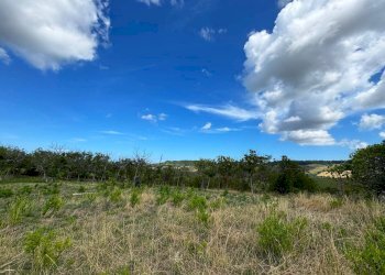 Foto 15 - Rustico Contrada Cancello
 
snc, Monterubbiano - foto 15