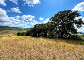 Foto 18 - Rustico Contrada Cancello
 
snc, Monterubbiano - foto 18
