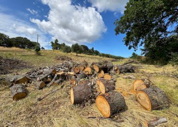 Foto 19 - Rustico Contrada Cancello
 
snc, Monterubbiano - foto 19