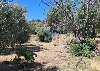 Giardino - Terreno agricolo contrada Mastrissa, Castelmola - foto 15