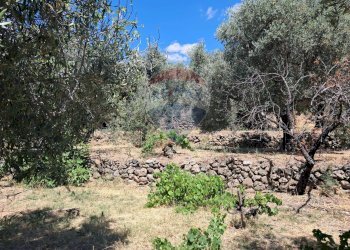 Giardino - Terreno agricolo contrada Mastrissa, Castelmola - foto 16