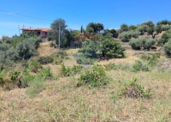 Giardino - Terreno agricolo contrada Mastrissa, Castelmola - foto 18