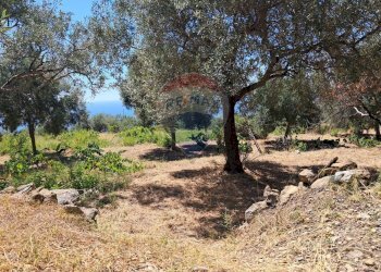 Giardino - Terreno agricolo contrada Mastrissa, Castelmola - foto 23