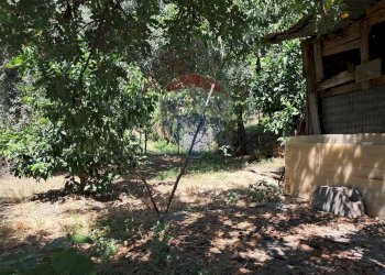 Giardino - Terreno agricolo contrada Mastrissa, Castelmola - foto 26