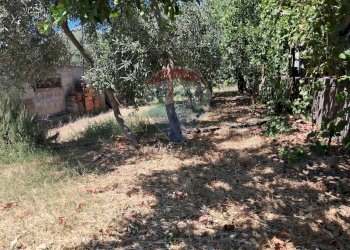 Giardino - Terreno agricolo contrada Mastrissa, Castelmola - foto 27