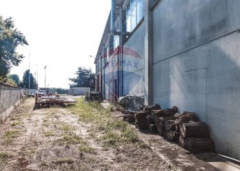 Giardino - Capannone Via dell'Artigianato
 
19, Robbio - foto 7