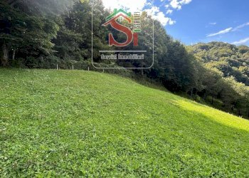 Foto 4 - Agricultural land localita Faggio, San Pellegrino Terme - photo 4