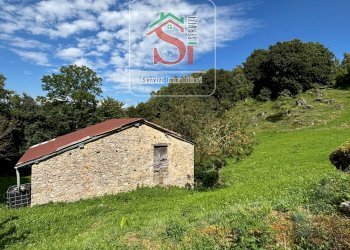 Foto 14 - Agricultural land localita Faggio, San Pellegrino Terme - photo 14