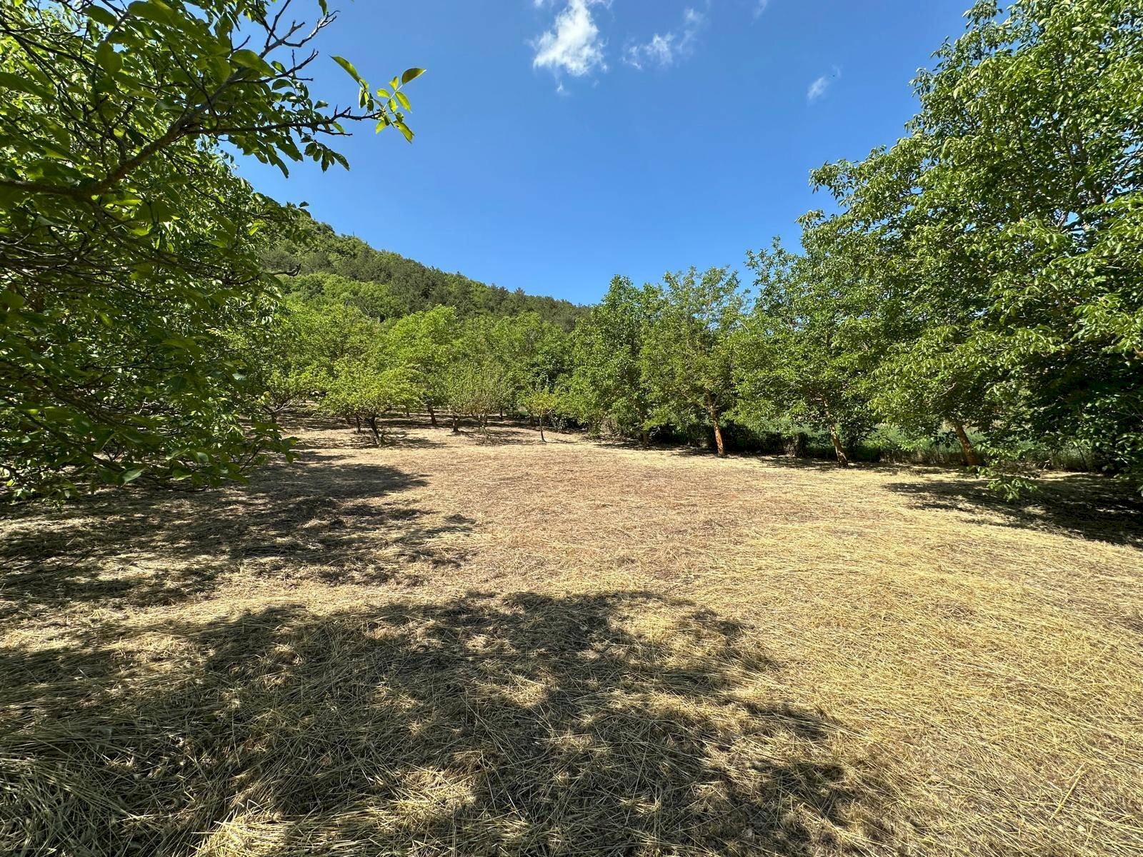 Foto 1 - Building land Via Turri
 
snc, Caporciano - photo 1