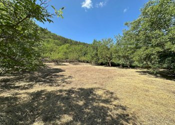 Foto 1 - Terreno edificabile Via Turri
snc, Caporciano - foto 1