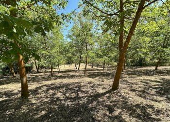 Foto 2 - Terreno edificabile Via Turri
snc, Caporciano - foto 2