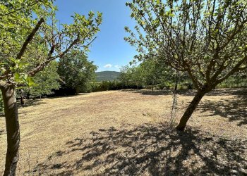 Foto 3 - Terreno edificabile Via Turri
snc, Caporciano - foto 3