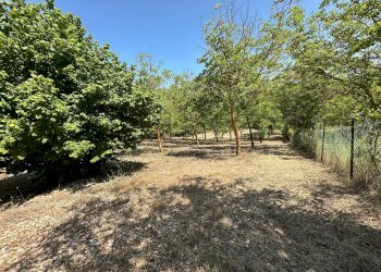 Foto 5 - Terreno edificabile Via Turri
snc, Caporciano - foto 5